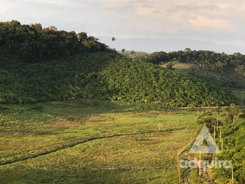 Foto Rural