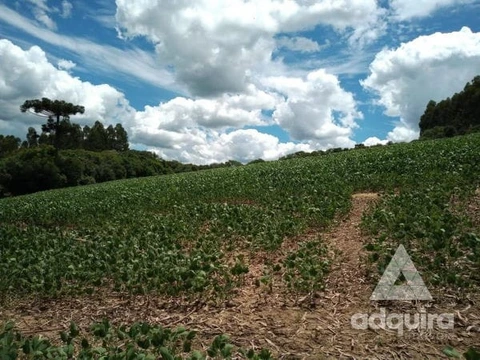 Foto Rural