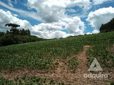 <strong>Chácara à venda 17545M², Centro, Palmeira - PR</strong>