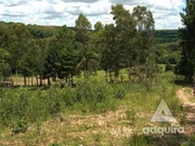 <strong>Chácara à venda 17545M², Centro, Palmeira - PR</strong>