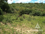 <strong>Chácara à venda 17545M², Centro, Palmeira - PR</strong>