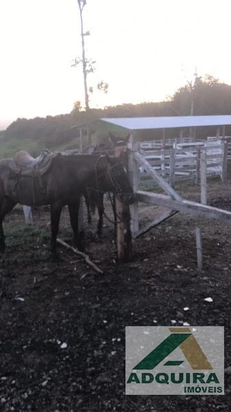 Foto Rural