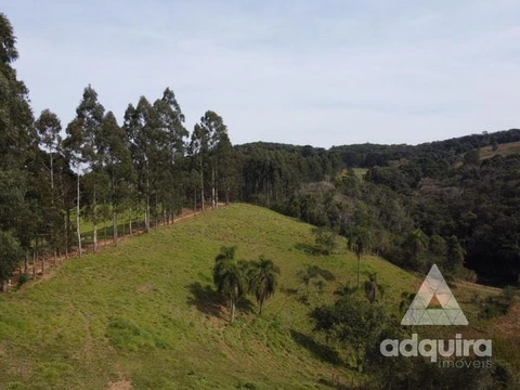 Foto Rural
