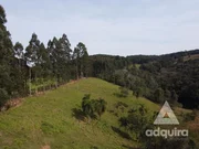 <strong>Chácara à venda 2 Quartos, 48400M², Zona Rural, Ponta Grossa</strong>