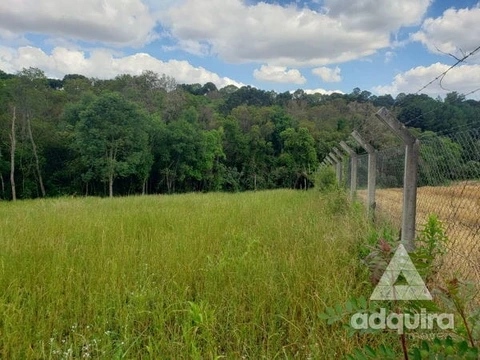 Foto Rural