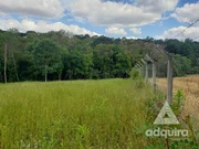 <strong>Chácara à venda 6750M², Periquitos, Ponta Grossa - PR</strong>
