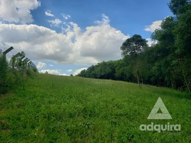 Chácara à Venda 6750m², Periquitos, Ponta Grossa - Pr