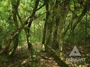 <strong>Chácara à venda 6750M², Periquitos, Ponta Grossa - PR</strong>