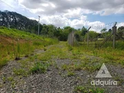 <strong>Chácara à venda 6750M², Periquitos, Ponta Grossa - PR</strong>