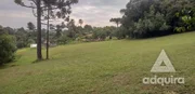 <strong>Chácara à venda 12000M², Cará-cará, Ponta Grossa - PR</strong>