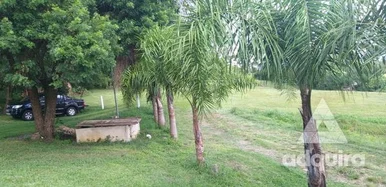 Chácara à Venda 12000m², Cará-cará, Ponta Grossa - Pr
