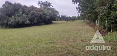 Chácara à Venda 12000m², Cará-cará, Ponta Grossa - Pr