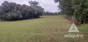 <strong>Chácara à venda 12000M², Cará-cará, Ponta Grossa - PR</strong>