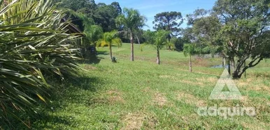 Chácara à Venda 12000m², Cará-cará, Ponta Grossa - Pr