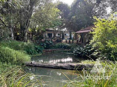Chácara à Venda 3 Quartos, 1 Suite, 5 Vagas, 3840m², Contorno