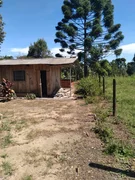<strong>Chácara à venda, Mato Queimado, Itaiacoca (Ponta Grossa), PR</strong>