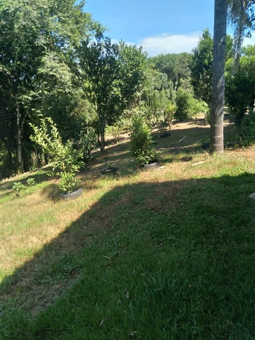 Foto Rural