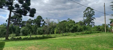 Chácara à Venda, Catanduva, Carambeí, Pr