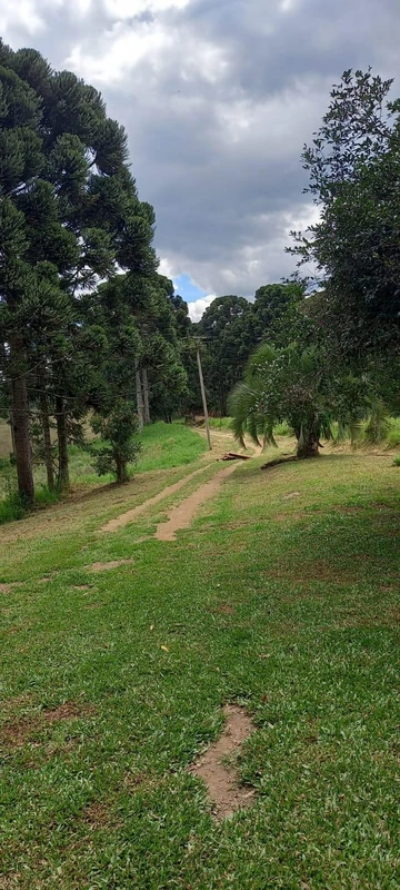 Foto Rural
