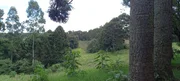 <strong>Chácara à venda, Catanduva, Carambeí, PR</strong>