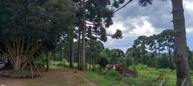 <strong>Chácara à venda, Catanduva, Carambeí, PR</strong>