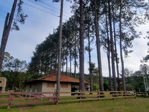 Foto Rural