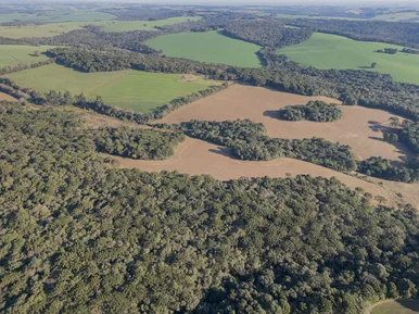 Chácara à Venda Próximo Ao Ponta Grossa Golf Clube, Com 217.885,07m² - 21.79 Hec