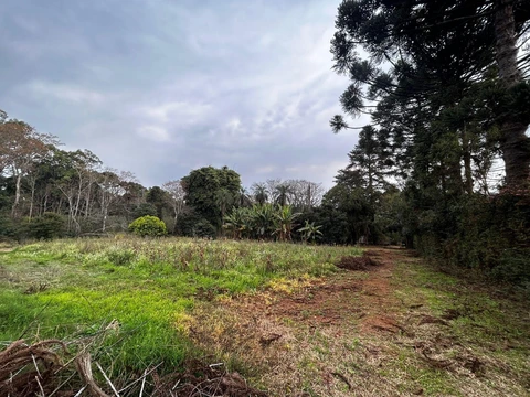 Foto Rural