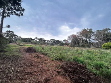 Chácara Comercial à Venda - Parque Shangrilá - Com 15.000m² De área Total (150m 