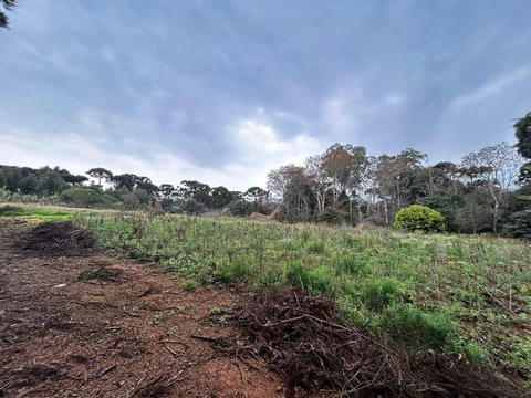 Foto Terreno