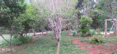Foto Rural