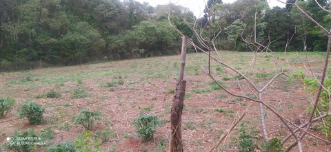 Foto Rural