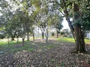 <strong>Chácara à venda, Colônia Dona Luíza, Ponta Grossa, PR</strong>
