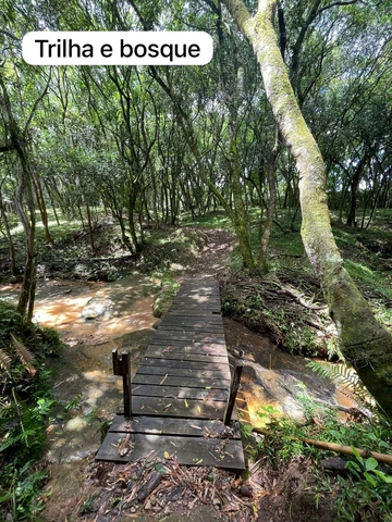 Foto Terreno
