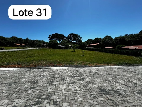 Foto Terreno