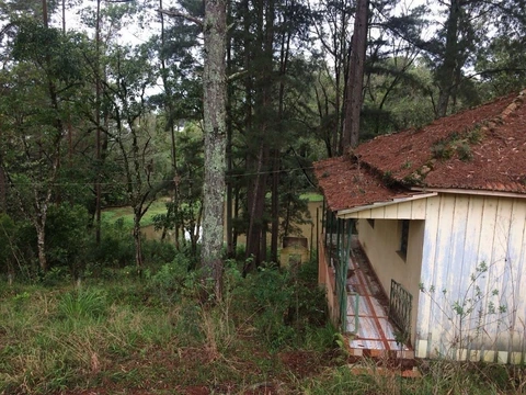 Foto Rural