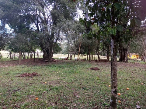 Foto Rural