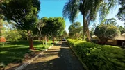 <strong>Chácara à venda, Uvaia, 17 km da cidade, Beira do asfalto, P</strong>