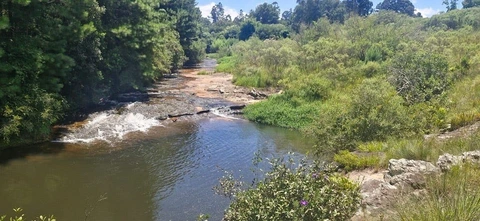 Foto Rural