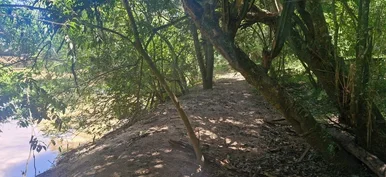 Chácara à Venda, Centro, Carambeí, Pr
