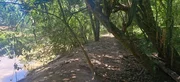 <strong>Chácara à venda, centro, Carambeí, PR</strong>