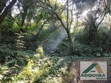 Chácara à Venda Em Região Urbana, No Jardim Carvalho, Ponta Grossa, Pr