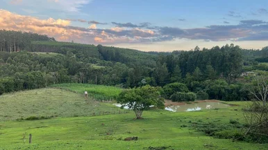<strong>Chácara à venda, Colônia Dona Luíza, Ponta Grossa, PR</strong>