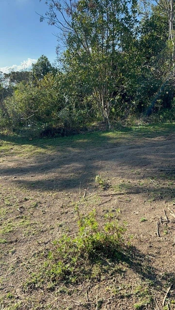 Foto Rural