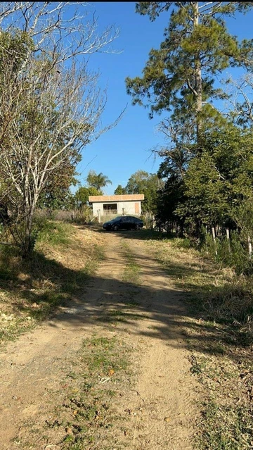 Foto Rural