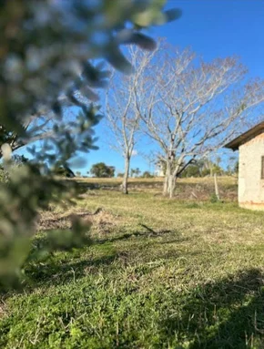 Chácara à Venda, Bocaina, Ponta Grossa, Pr