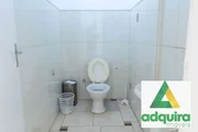 <strong>Comercial à venda e locação 4222M², Colônia Dona Luíza, Pont</strong>